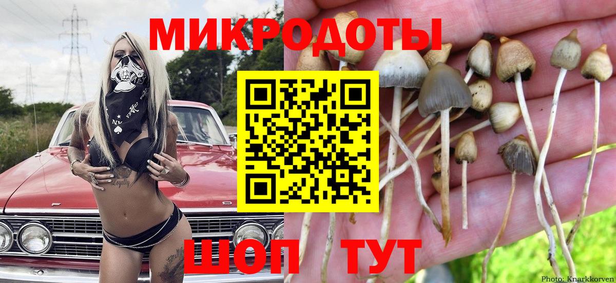 Галлюциногенные грибы Magic Shrooms Магадан