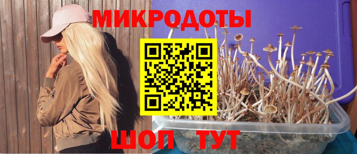 АМФЕТАМИН Магадан