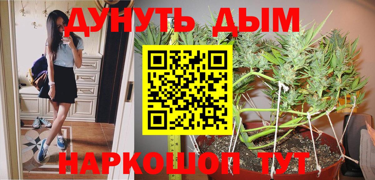 Бошки марихуана MAZAR  Вход с VPN  Каннабис Amnesia  Магадан  Шишки марихуана гибрид  Конопля сатива 